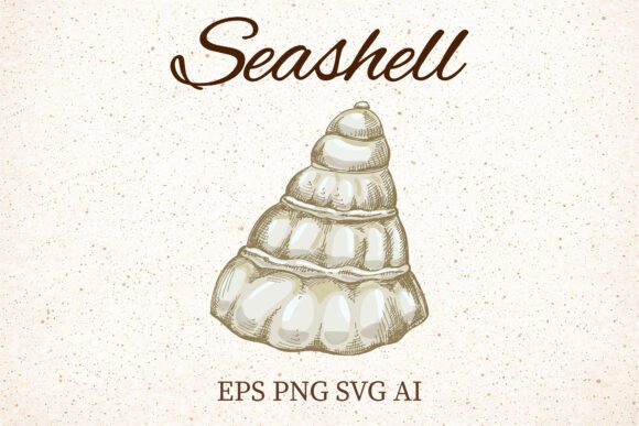 Download Vintage Spiral Seashell Clipart - Vintage Collection