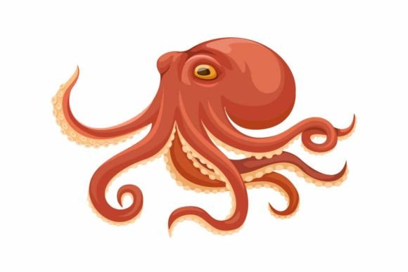Download Octopus Aquatic Animal Cartoon Vector - Octopus Collection