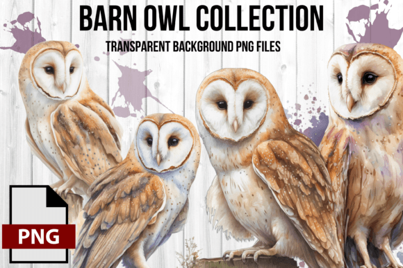 Download Watercolor Vintage Barn Owl Graphic Set - Vintage Collection