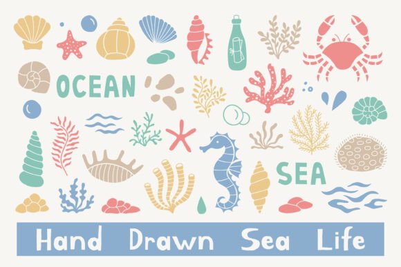 Download Hand Drawn Sea Life Summer PNG Clipart - Summer Collection